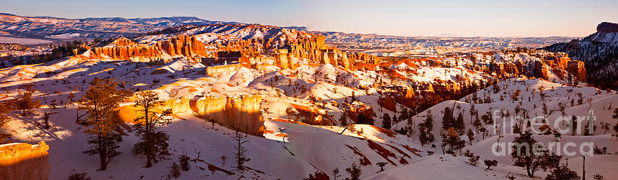 Bryce Canyon National Park Photograph - Panorama of a Hoodoo Nation II by Irene Abdou