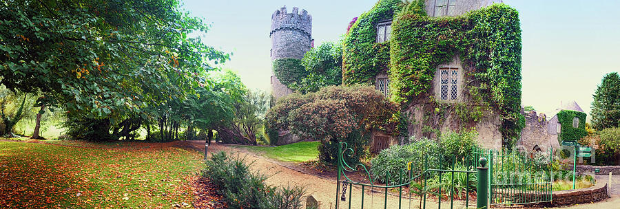  panorama of castle near Dublin  Photograph by Ariadna De Raadt