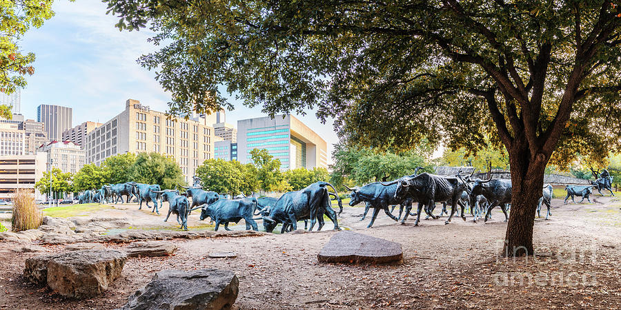 Panorama of Cattle Drive at Pioneer Plaza in Downtown Dallas - North Texas Photograph by Silvio Ligutti
