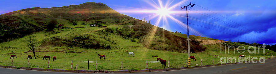 Horse Photograph - Panorama Of Horses Near Nabon by Al Bourassa