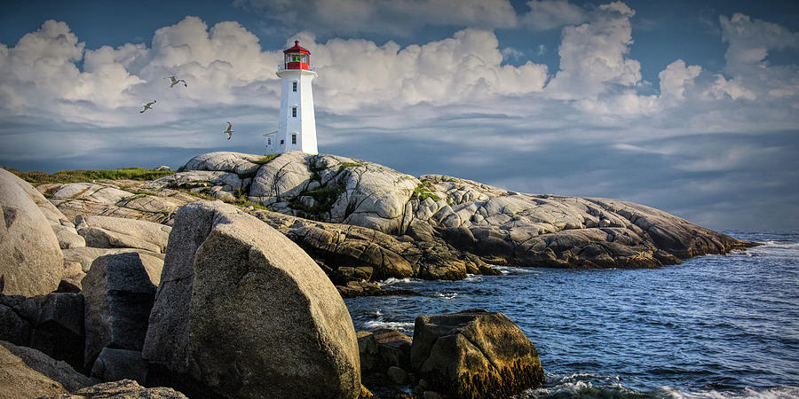 Panorama Of Peggys Cove Lighthouse With Flying Gulls Photograph