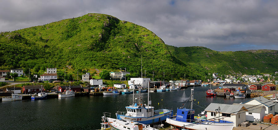 Panorama of Petty Harbour-Maddox Cove boats at docks Avalon Peni Photograph by Reimar Gaertner