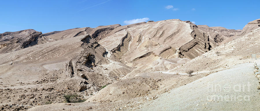 Panorama on Genesis Land Photograph by Arik Baltinester