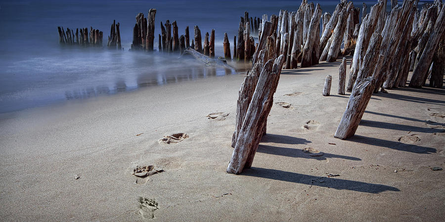 Panorama Photograph of Footprints along the Beach on Lake Michigan Photograph by Randall Nyhof
