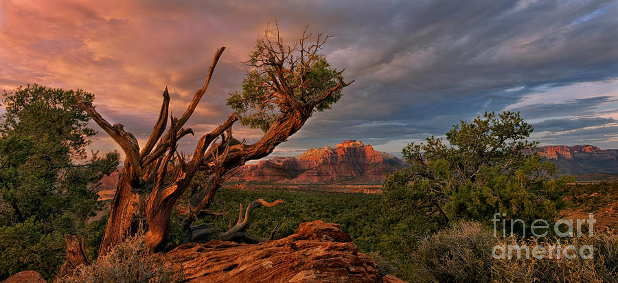 Panorama Storm Back of Zion near Hurricane Utah Photograph by Dave Welling