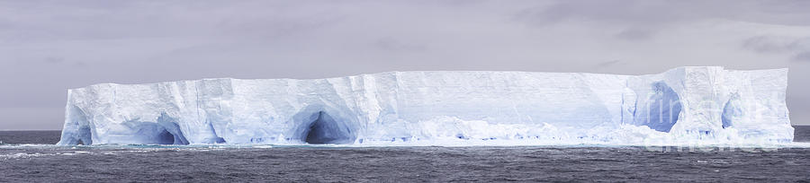 Panorama Tabular Iceberg Photograph by Karen Foley