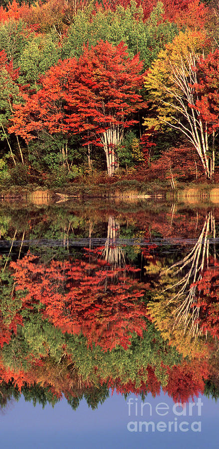 Panoramic Fall Color Thorton Lake Upper Penninsula Michigan Photograph by Dave Welling