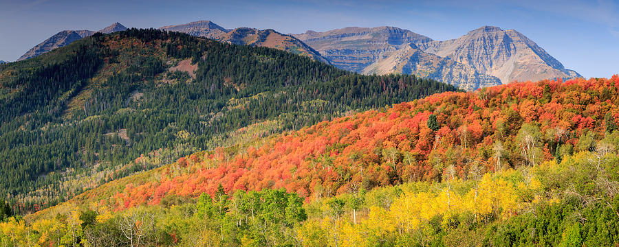 Fall Photograph - Panoramic fall colors in the Wasatch Back. by Wasatch Light