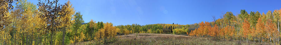 Aspens Photograph - Panoramic Fall Colors Vista by Jeff Schomay Aspens Photograph - Panoramic Fall Colors Vista by Jeff Schomay