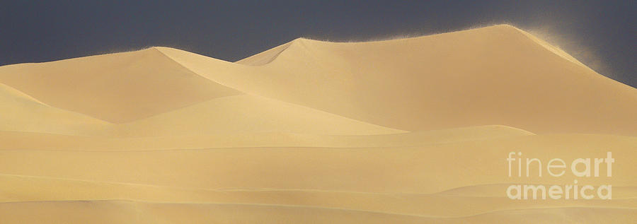 Panoramic Mesquite Sand Dunes Death Valley NP Photograph by Dave Welling