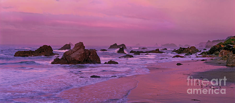 Panoramic Sea Stacks Harris State Beach Oregon Photograph by Dave Welling