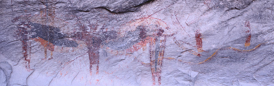 Color Image Photograph - Panoramic View Of Petroglyphs Of Stick by Panoramic Images