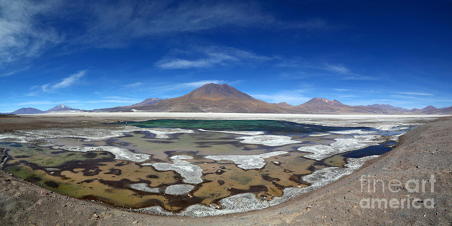Panoramic View of Salar de Ascotan Chile Photograph by James Brunker