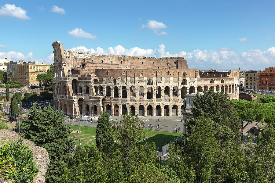 panoramic view of the Colosseum from Palatin Hill with blue sky  Photograph by Henning Marquardt