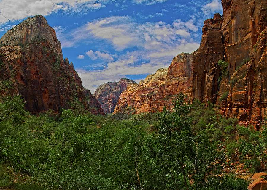 Panoramic view of Zion from Weeping Rock Photograph by Levin Rodriguez