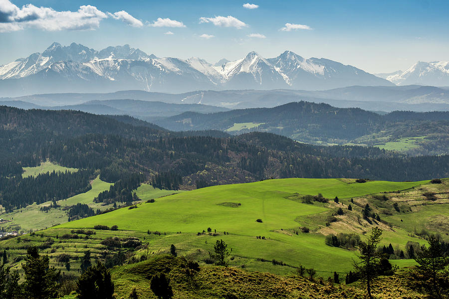 Panoramic View Tatry In Spring Photograph by Pati Photography