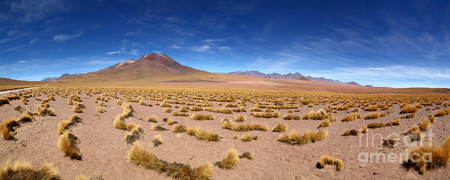 Panoramic View of Tatio Volcano and Atacama Desert Grassland Chile Photograph by James Brunker