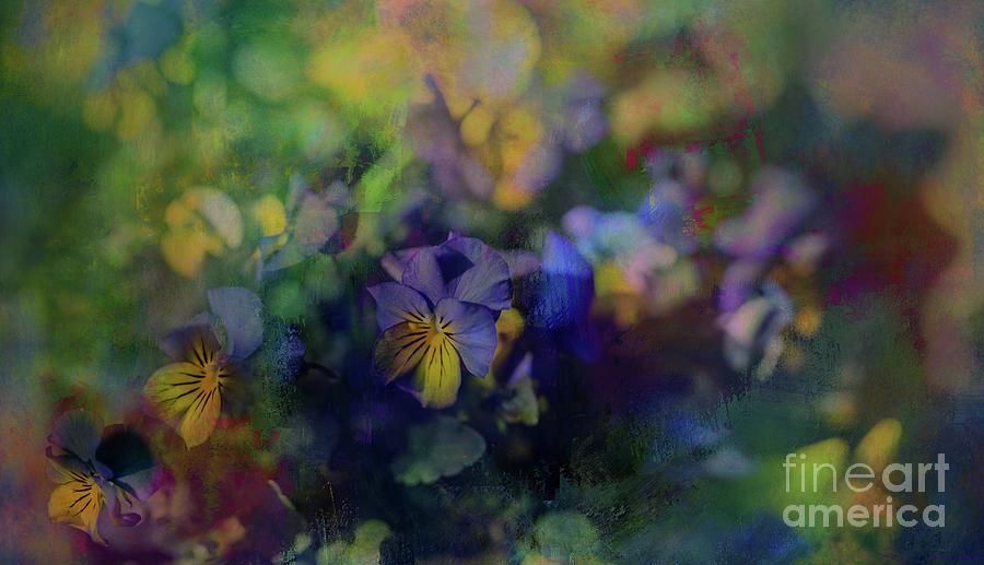 Abstract Photograph - Pansies Abstract by Eva Lechner