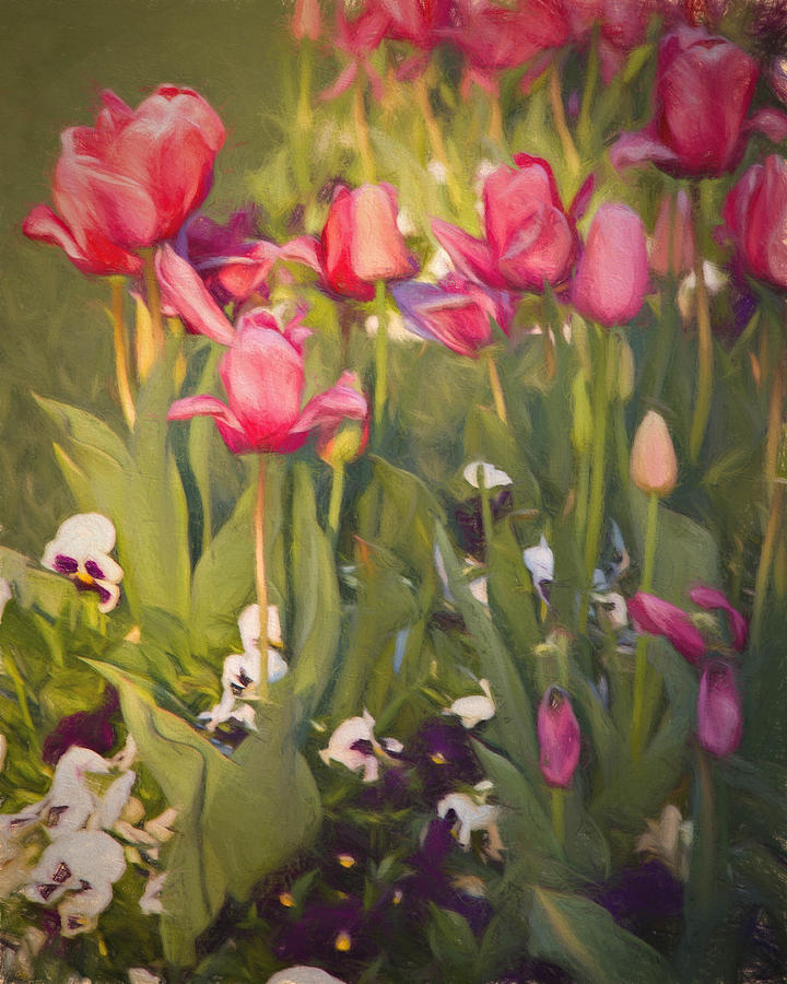 Pansies and Tulips Photograph by Lana Trussell