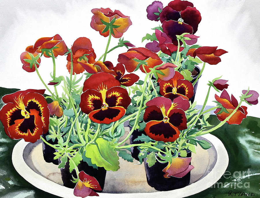 Pansies Painting by Christopher Ryland