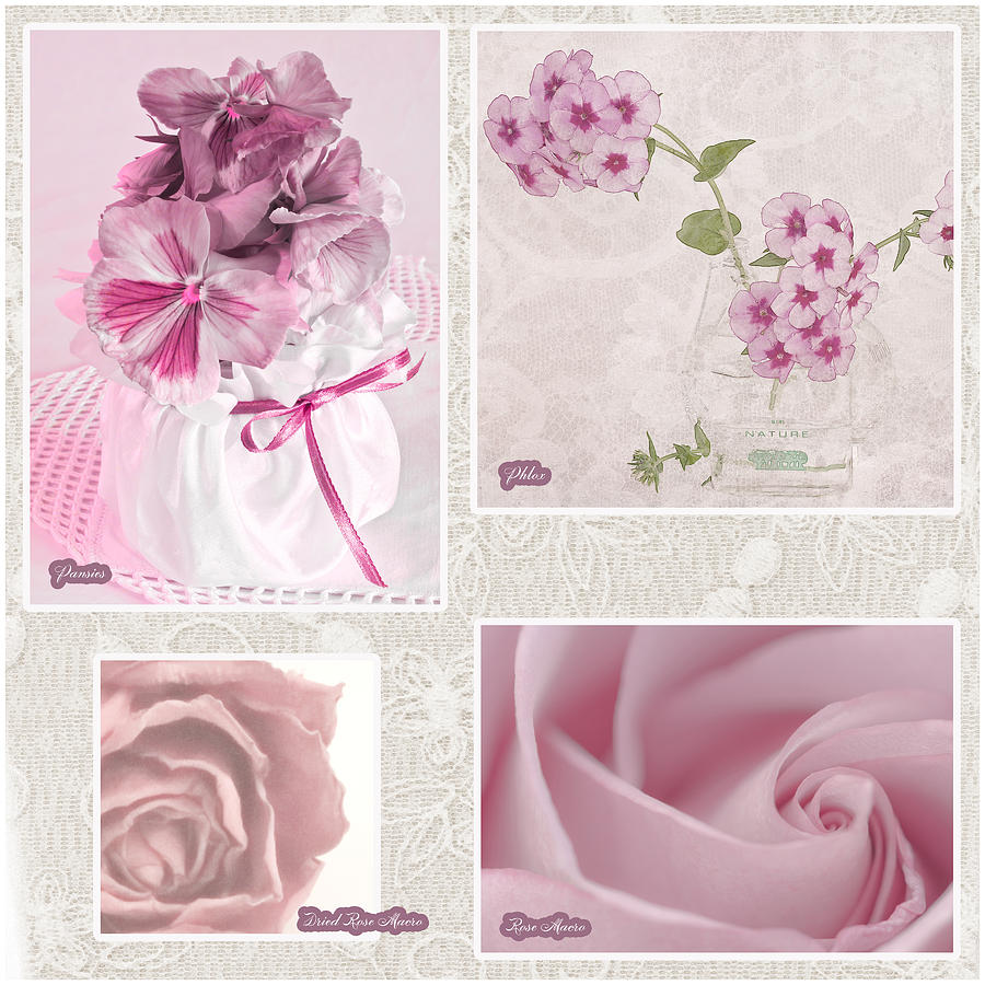 Rose Photograph - Pansies Roses And Phlox Photo Collage by Sandra Foster