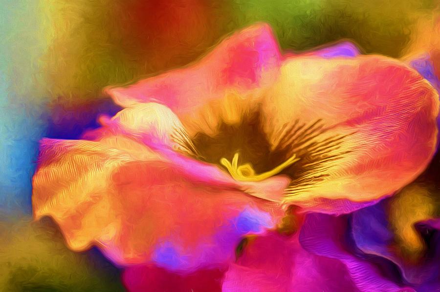 Pansy in Color Photograph by Ches Black