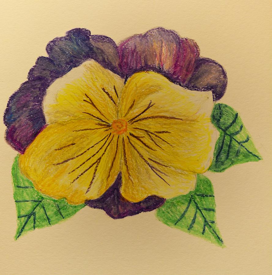 Pansy - Pastels Pastel by Maria Urso