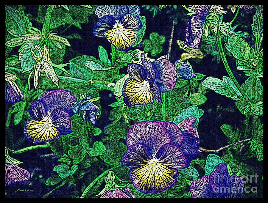 Pansy Patch 4 Photograph by Sarah Loft