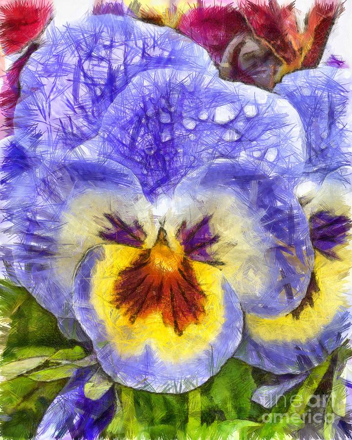 Pansy Pencil Photograph by Edward Fielding