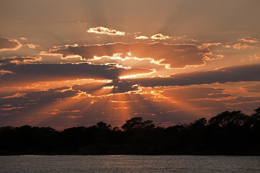 Pantanal Sunrise over Cuiaba River Photograph by Aivar Mikko