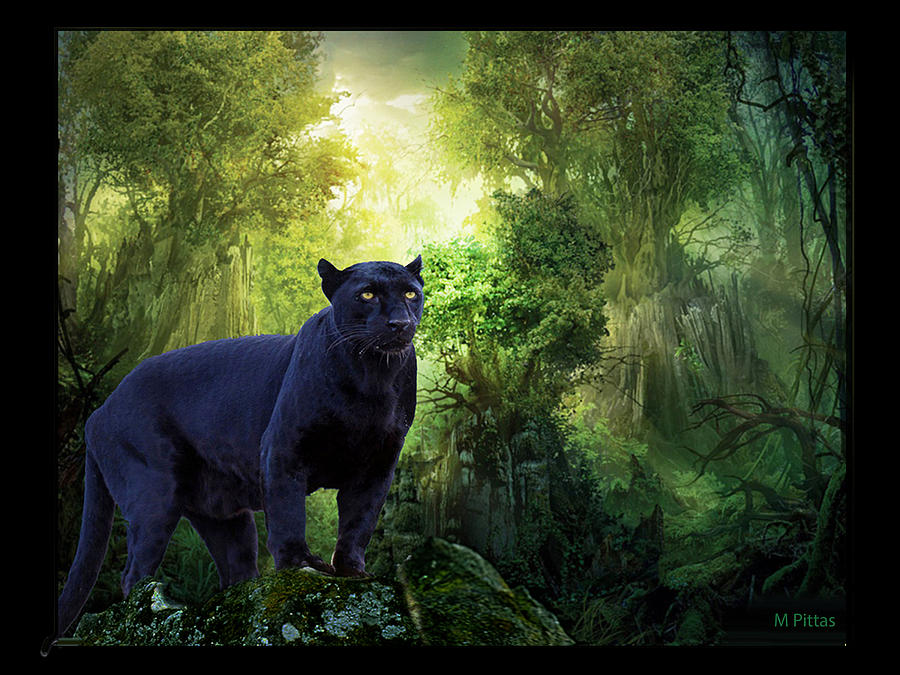 Panther Alert Painting by Michael Pittas