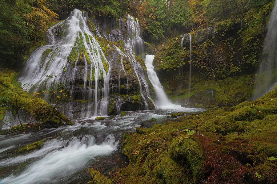 Panther Creek Falls in Autumn Photograph by David Gn