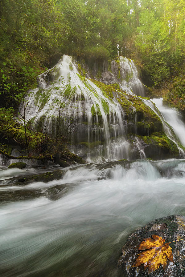 Panther Creek Falls in Fall Season Photograph by David Gn