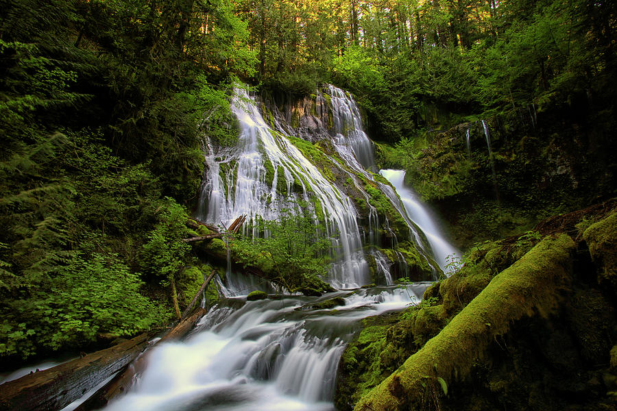 Panther Creek Falls Photograph by Marshall Powell Photography - Fine ...