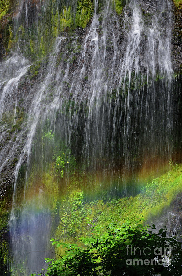 Panther Creek Falls Rainbow Photograph by Rick Bures