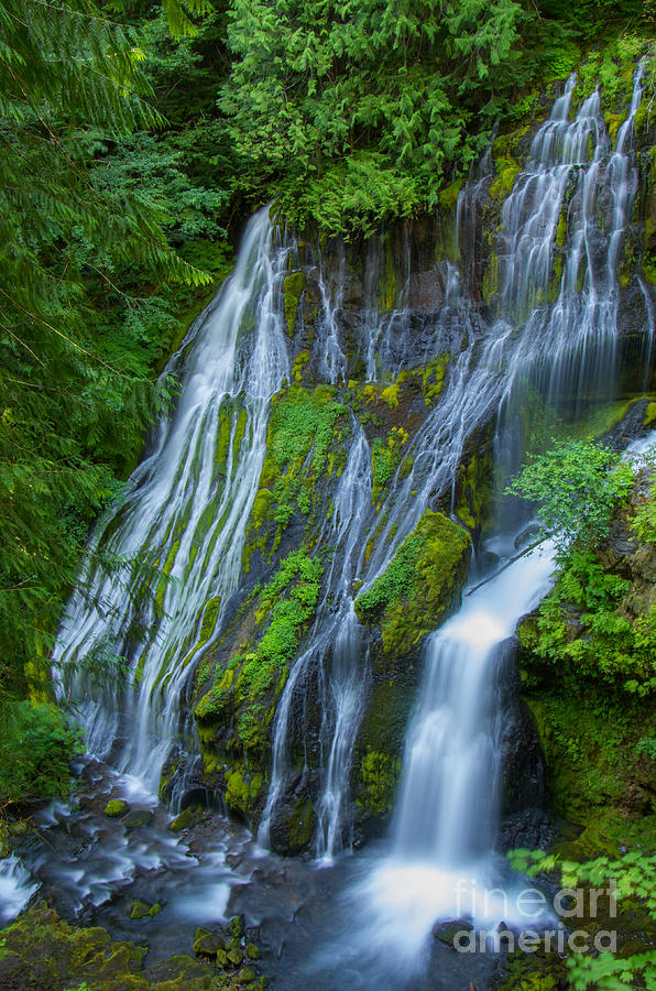 Panther Creek Falls Summer Waterfall 1 Photograph by Rick Bures