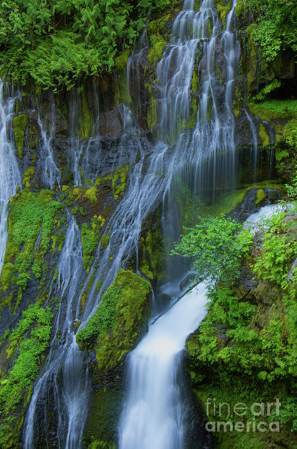 Panther Creek Falls Summer Waterfall 2 Photograph by Rick Bures