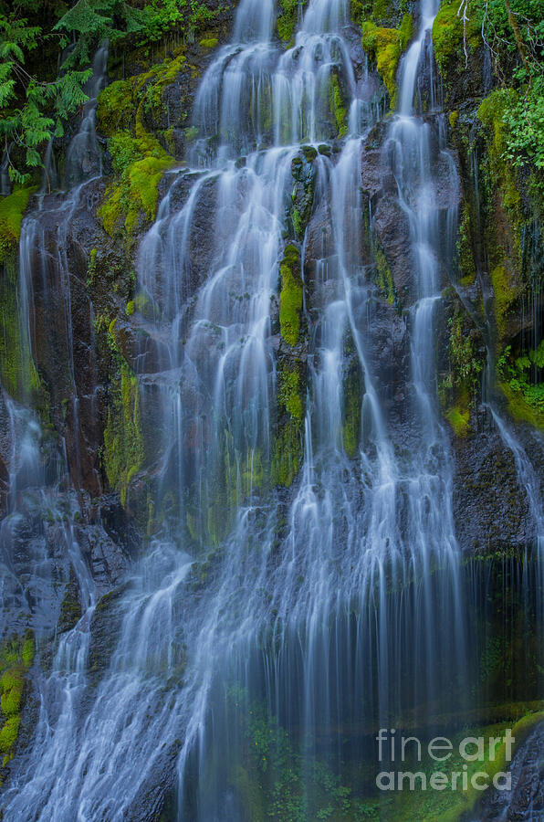 Panther Creek Falls Summer Waterfall -close 2 Photograph by Rick Bures