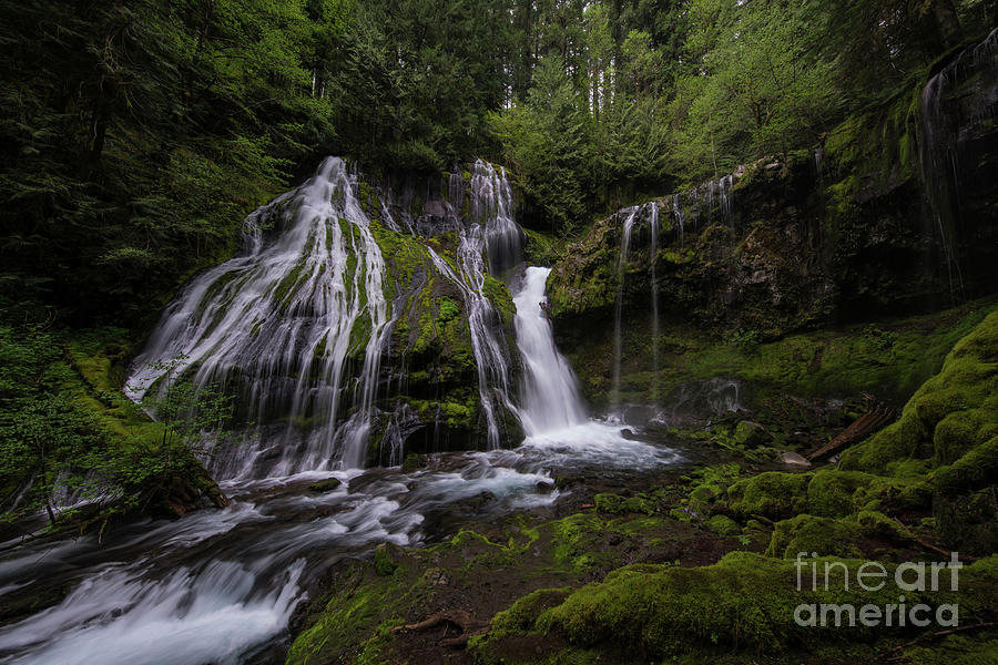 Panther Creek Falls Wide Photograph by Mike Reid