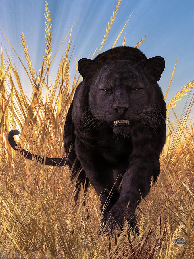 Panther Digital Art by Daniel Eskridge