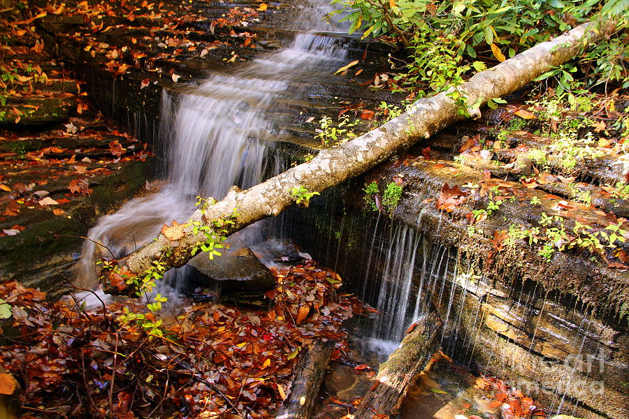 Panther Falls Georgia Photograph by Charlene Cox