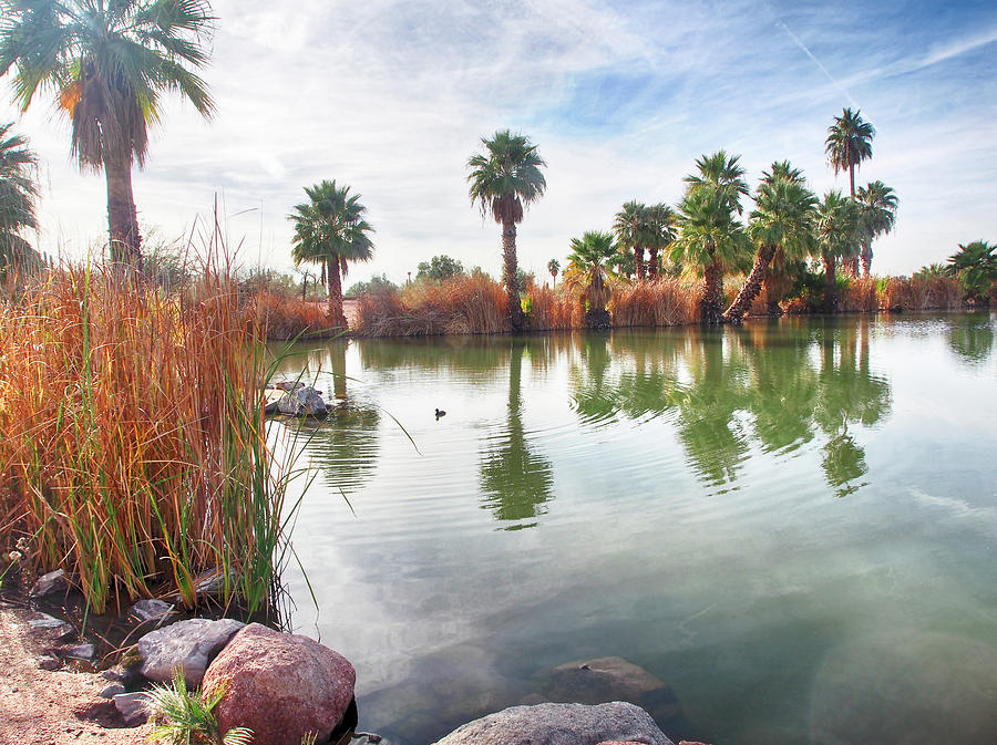 Papago Park Lake Photograph by C H Apperson