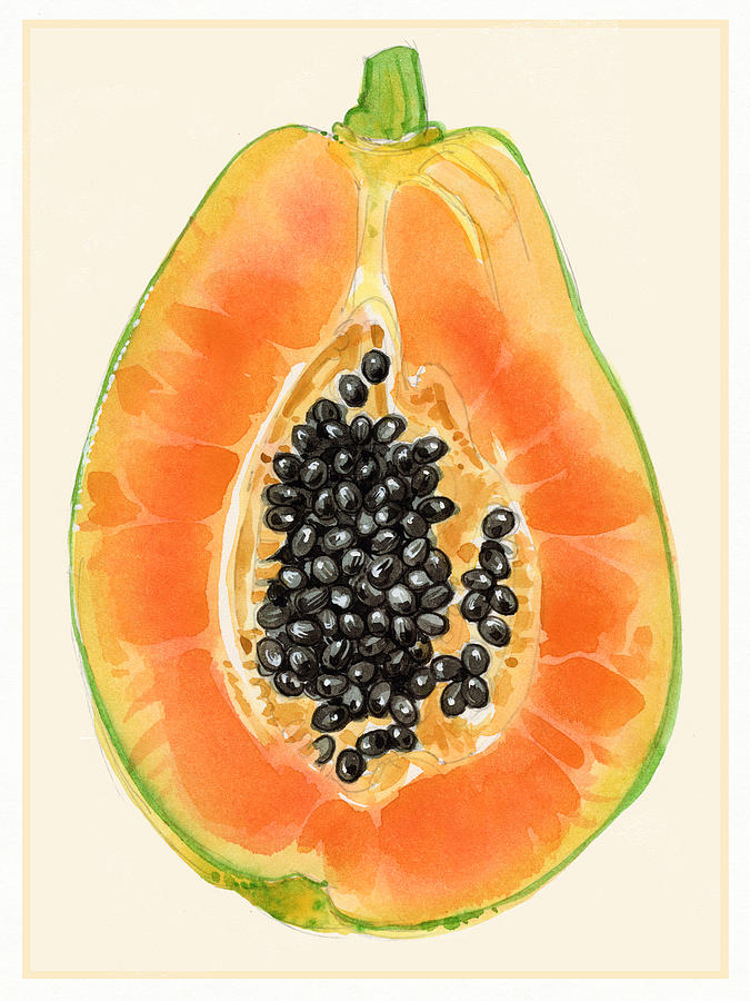 Papaya Painting by Judith Kunzle