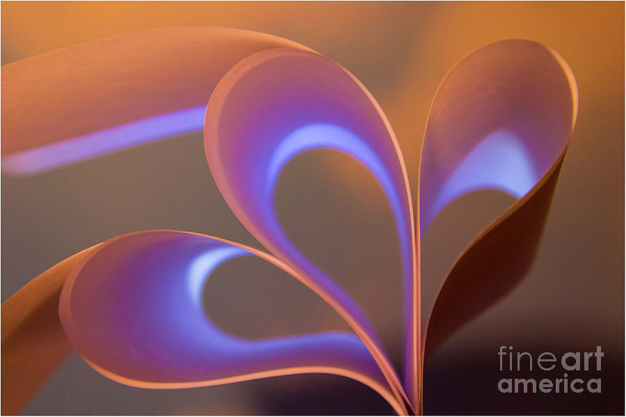 Abstract Photograph - Paper and light 1 by Jim Wright