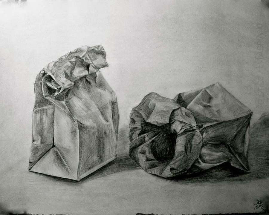 Paper Bags Drawing by Danielle Gallant Pixels