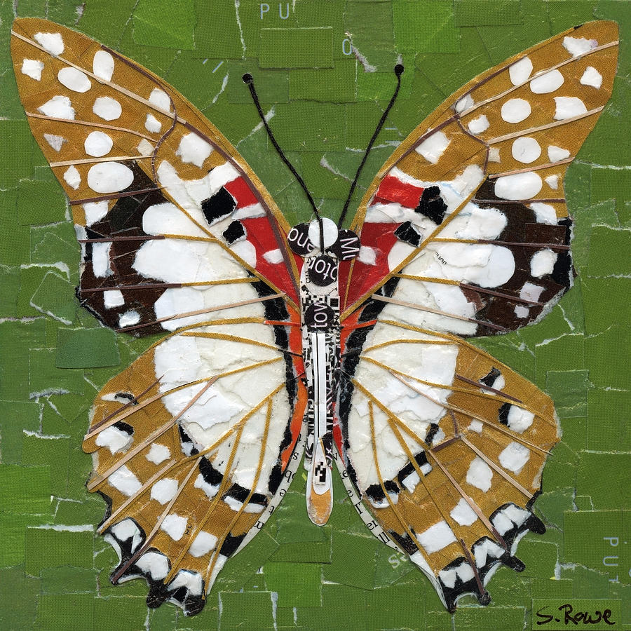 Paper Butterfly - Angola White Lady Mixed Media by Shawna Rowe