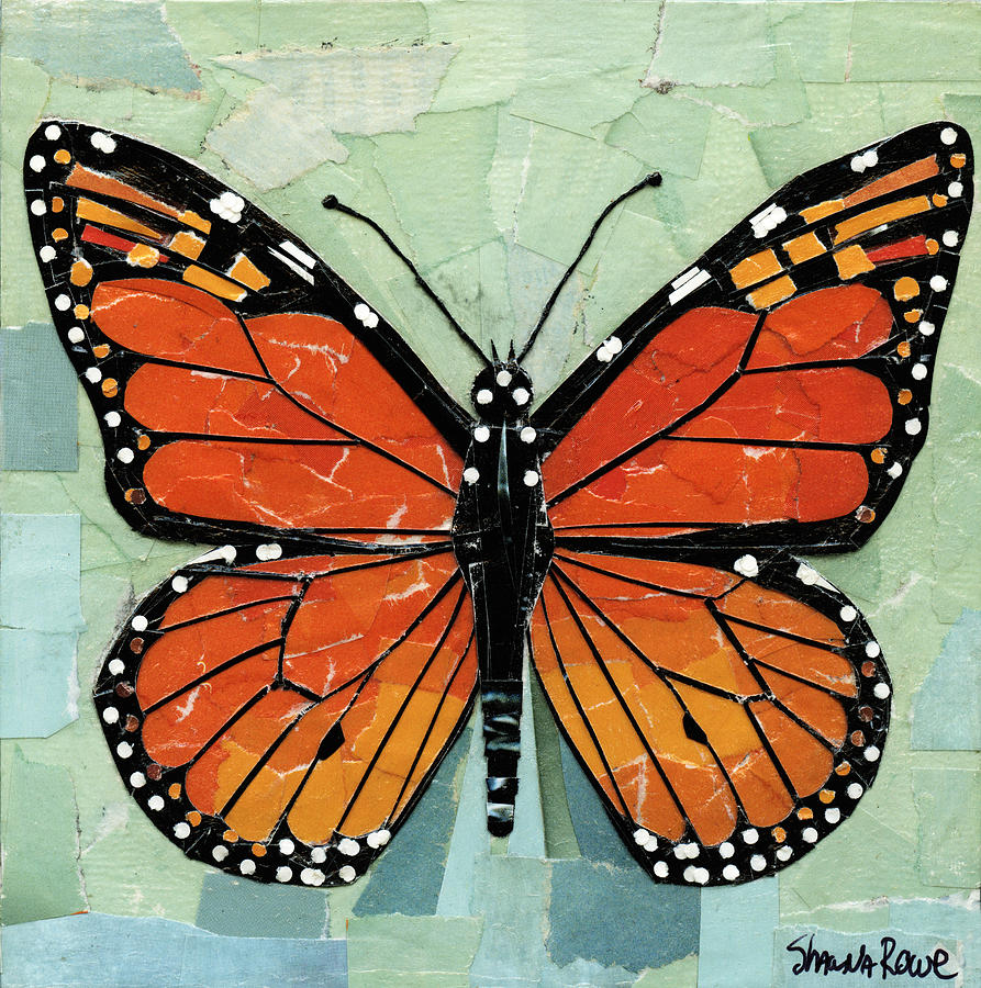 Paper Butterfly - Monarch Mixed Media by Shawna Rowe