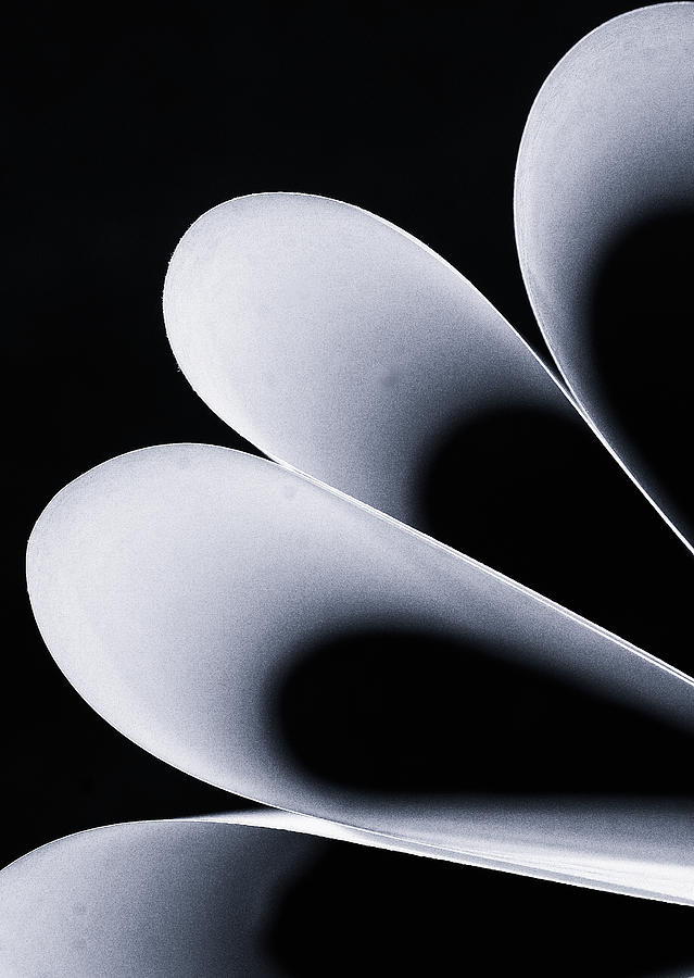 Still Life Photograph - Paper Curls by Kevin Towler