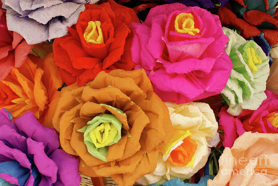 Paper Flowers Photograph by John  Mitchell
