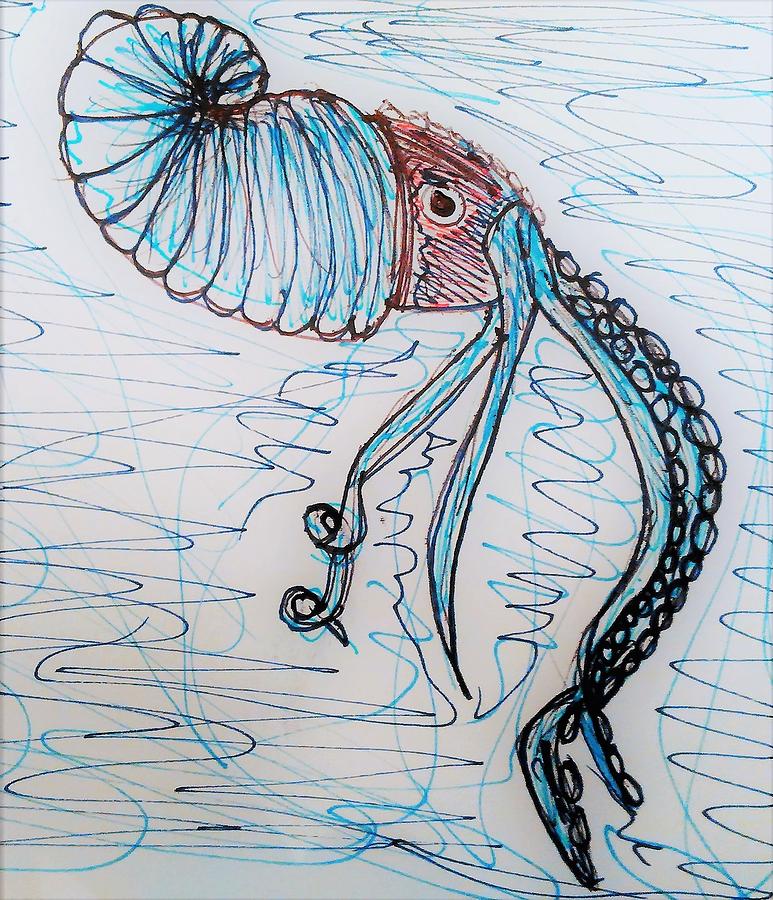 Paper Nautilus Drawing by Andrew Blitman